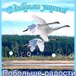 ���� ����, ����, 61 ��� - ��������� 26 ���� 2023