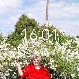 �������, ������, 56 ���