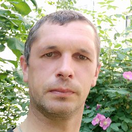 ��������, �����-���������, 46 ���