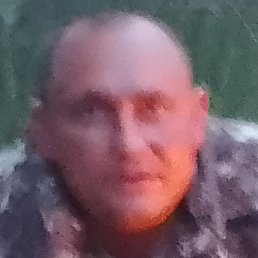 �����, ������, 41 ���