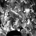 ���� Roland, �����������, 25 ��� - ��������� 2 ������� 2023 � ������ ���� ����������