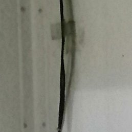 ������, ������, 50 ���