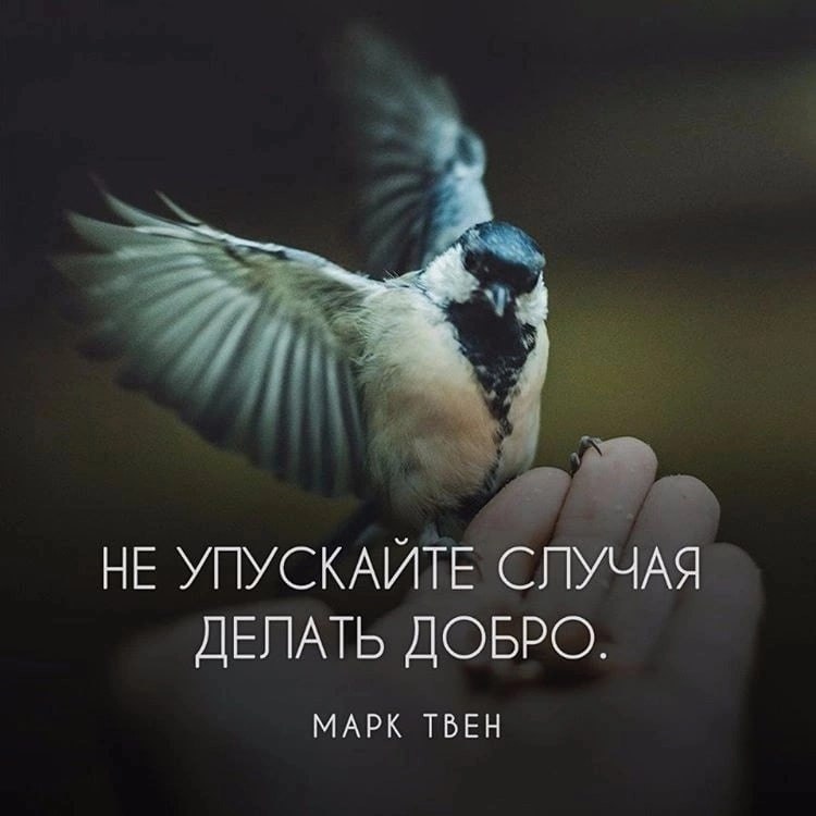   - 22  2023  22:13