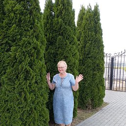 �������, �����, 62 ����