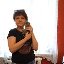  , , 43  -  2  2023