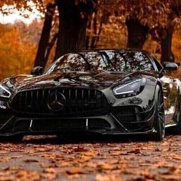 �����, ������, 42 ����