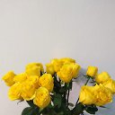 ���� ����, ���������, 45 ��� - ��������� 26 ������� 2023