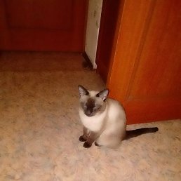 ����, ������ ��������, 45 ���