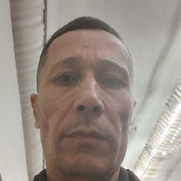 �����, ������, 48 ���
