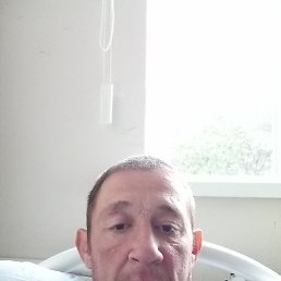 ������, ������, 41 ���