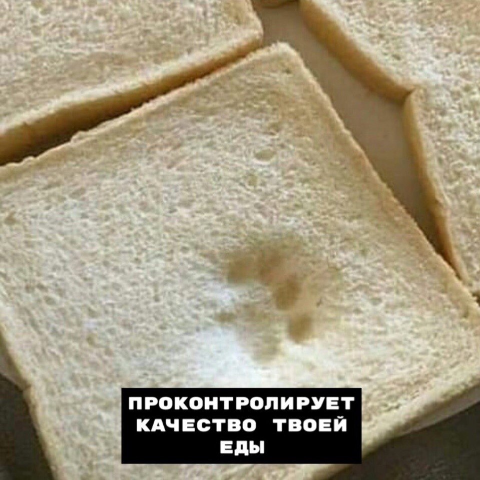   ,    ... - 7
