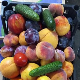 ���, �����-���������, 31 ���