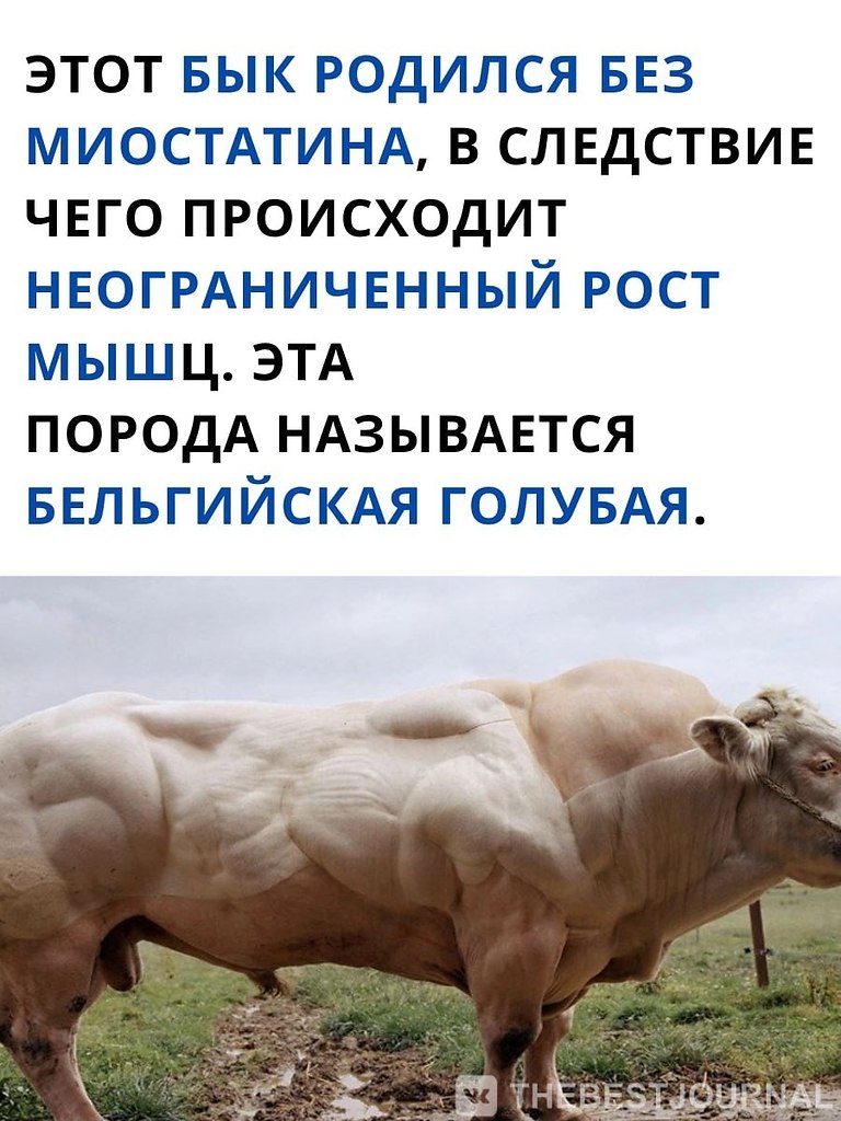   .  ,     ,    