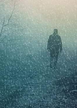 Банка огурцов.В два часа ночи, разбуженный необъяснимым и мощнейшим желанием, Вадик открыл глаза. ...