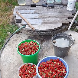 ���� ������, ������, 58 ��� - ��������� 28 ���� 2023