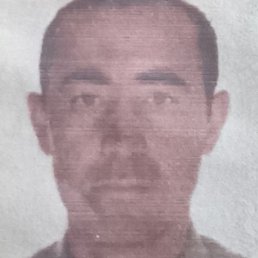 ���, �����, 41 ���