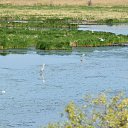  Aleksandr, , 49  -  12  2023