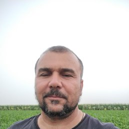 ���� �����, �����-���������, 53 ���� - ��������� 12 �������� 2023