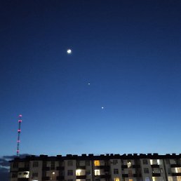 ���������, �����������, 35 ���