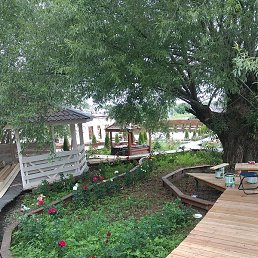 �����, ������, 33 ����