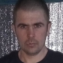 ����, ������, 38 ���