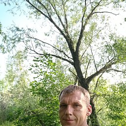 ���� ����, �����������, 41 ��� - ��������� 5 ���� 2023