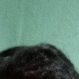 Shohjahon, �����, 21 ���