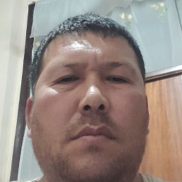 �����, ������, 46 ���