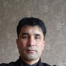 AMIR, 37 , 