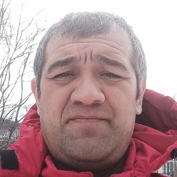 ������, �����-���������, 44 ����