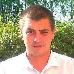 �������, ������, 37 ���