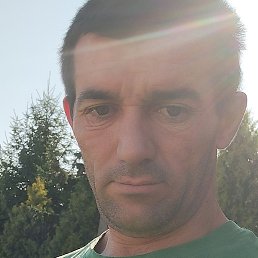 ����, �������, 40 ���