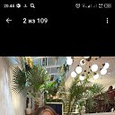 ���� �������, ����� - ��������� 8 ������� 2023 � ������ ���� ����������