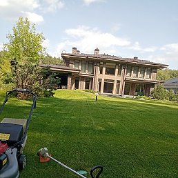 �����, ������, 38 ���