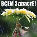���� �������, ������, 48 ��� - ��������� 3 ������� 2023 � ������ ������