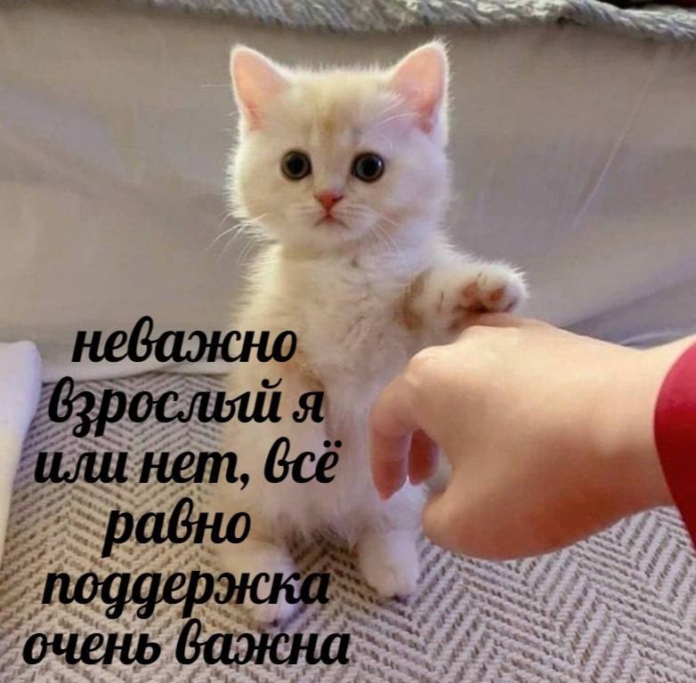    - 5  2023  20:43