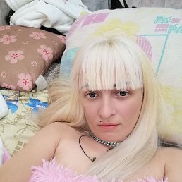 ���� ����, ������, 33 ���� - ��������� 3 ���� 2023