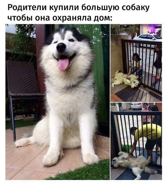 �� ����� �� �� �����