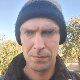 �������, ������, 41 ���