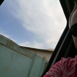 ���� Niko, �������, 36 ��� - ��������� 27 ��� 2023