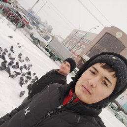 ����, ����������, 37 ���