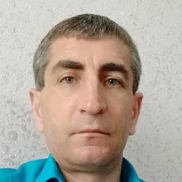 Tudor, �������, 46 ���