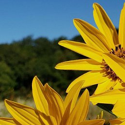 ���� ����, ����������, 50 ��� - ��������� 15 �������� 2023