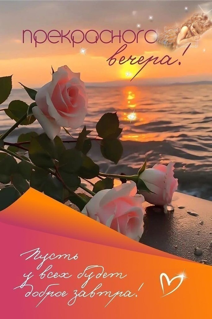-- -- -- -- -- -- -- -- -- -- -- --