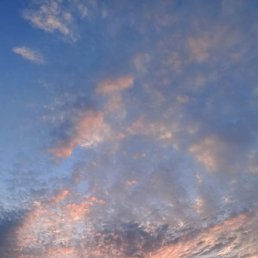 ����, ���������, 37 ���