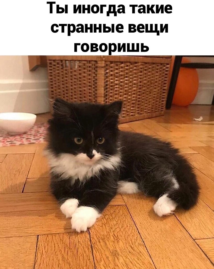 Всё так - Женские секреты, №2588877482 | Фотострана – cайт знакомств ...