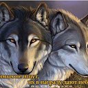 ����� ����� �� ������� ������ ��������