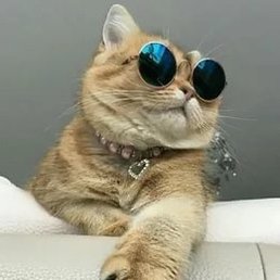 �������, ������, 56 ���