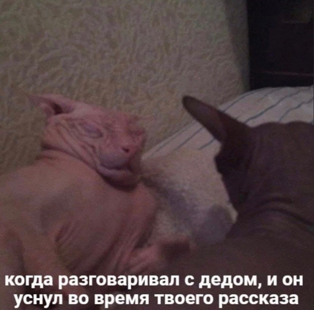    - 10  2023  04:31