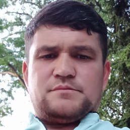 �������, �����������, 41 ���